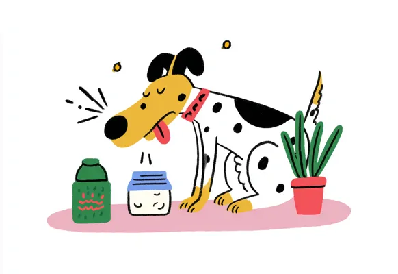 Live Technology Report Export